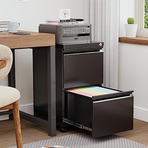 2 Drawer Vertical File Cabinet with Lock for Letter Size, Steel Office Storage Y50014