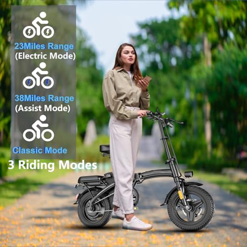 Peak 500W Folding Electric Bike for Adults, 14" Mini Ebike with Removable Battery S425597