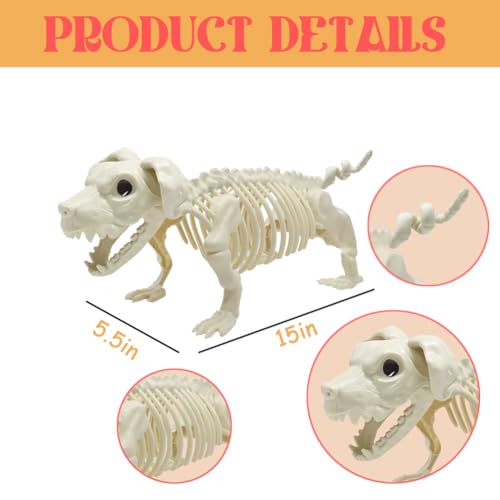 UMEELR 5.9FT Poseable Life Size Skeleton for Halloween Decoration B873000