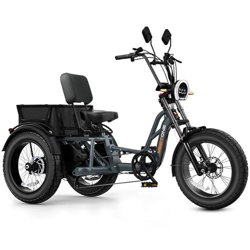 Folding Electric Tricycle for Adults, 1200W, 450lbs Load, UL Certified N810