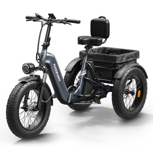 Electric Trike for Adult with 750W Motor, 48V Battery, 20" Fat Tire Y5910