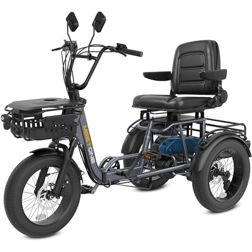 Breeze Folding Electric Tricycle for Adults, 1000W, Fat Tire, 450lbs Load I237900