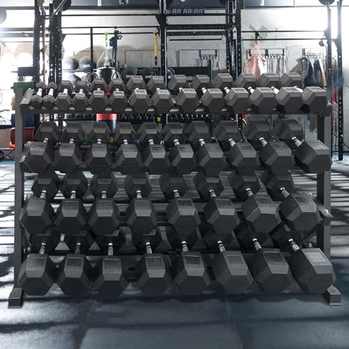550 lbs Hex Dumbbell Weight Set for Home Gym Strength Training R4407