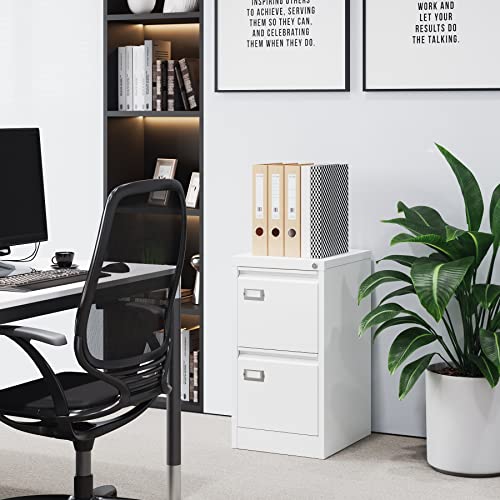 2 Drawer Vertical File Cabinet with Lock for Letter Size, Steel Office Storage Y50014