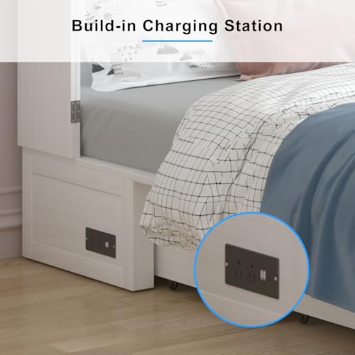 PUREMIND Queen Murphy Bed Cabinet with 2 Storage Drawers and USB Charging Station R5817