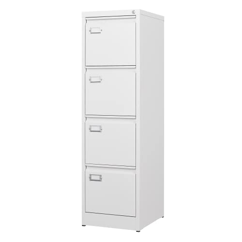 2 Drawer Vertical File Cabinet with Lock for Letter Size, Steel Office Storage Y50014