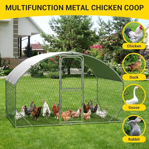 Large Metal Chicken Coop with Run Walk-in Poultry Cage Outdoor Backyard Farm I98427