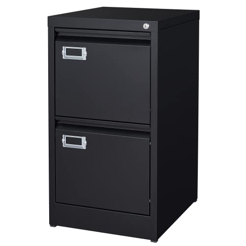 2 Drawer Vertical File Cabinet with Lock for Letter Size, Steel Office Storage Y50014