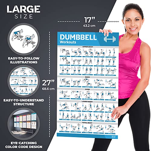 Laminated Large Workout Poster Set for Home Gym Exercise Charts M2103
