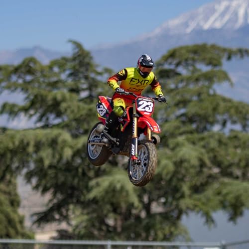 Losi Promoto-MX 1/4 RC Motorcycle Red LOS06000T1 Y7246