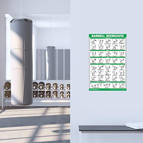 Exercise Workout Poster Set - 10 Pack Laminated 18" x 24" I677828