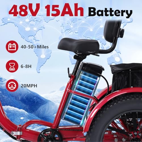 Electric Tricycle for Adults, 750W, Folding Fat Tire, 48V Removable Battery O76597