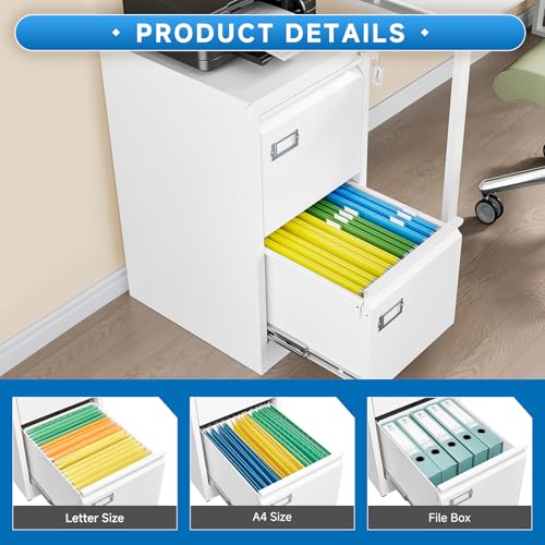 2 Drawer Vertical File Cabinet with Lock for Letter Size, Steel Office Storage Y50014