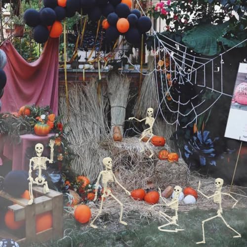 Life Size Skeleton with Posable Joints for Halloween Decor R4204