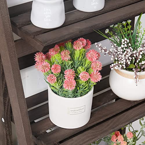 unho 4 Tier Plant Stand Tall Ladder Shelf Wooden Display Rack Q41622