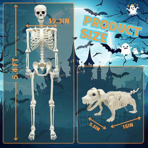 UMEELR 5.9FT Poseable Life Size Skeleton for Halloween Decoration B873000