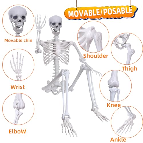 Halloween Life Size Posable Skeleton Full Body Plastic Decoration A932