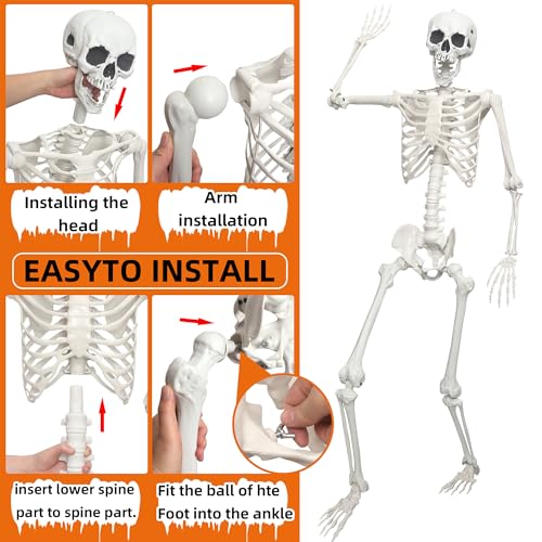 Halloween Skeleton Decoration 5.4ft Realistic Plastic with Movable Joints Gray U13918