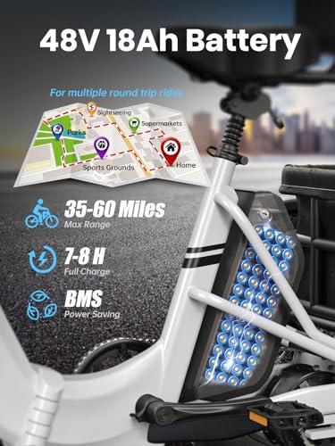 Electric Trike for Adult with 750W Motor, 48V Battery, 20" Fat Tire Y5910