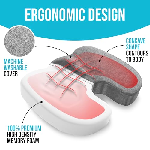 FORTEM Office Chair Cushion and Back Support, Memory Foam Lumbar Pillow, Non Slip, XL V440