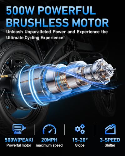 Folding Electric Bike for Adults with Removable Battery P213045