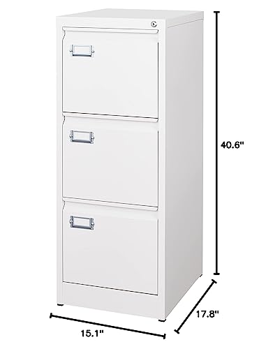 2 Drawer Vertical File Cabinet with Lock for Letter Size, Steel Office Storage Y50014