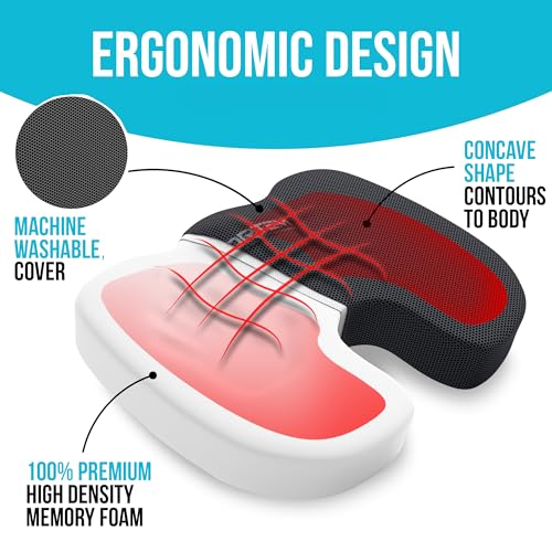 FORTEM Office Chair Cushion and Back Support, Memory Foam Lumbar Pillow, Non Slip, XL V440