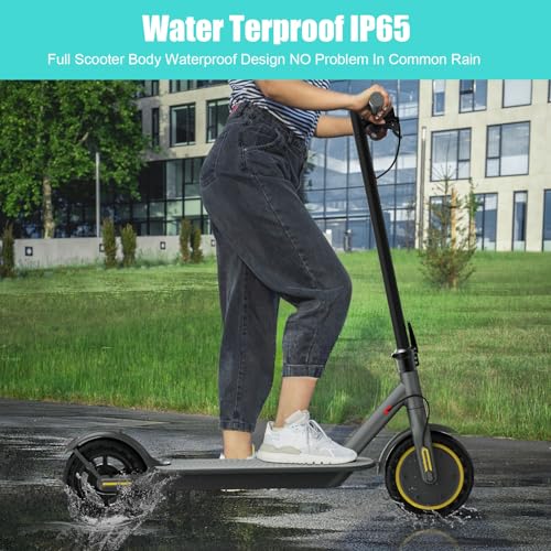 Electric Scooter for Adults, 16 Mph, 350W, Foldable with App Control Q105033