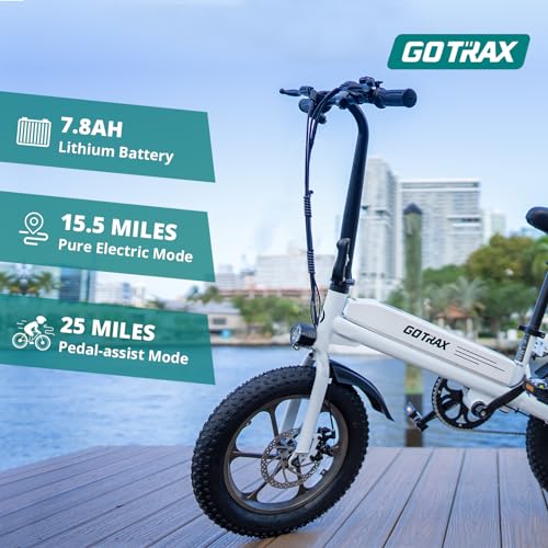 Gotrax S3 Electric Bike, 750W Peak Motor, 25 Miles Range, Folding Fat Tire E-Bike B18421