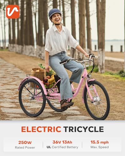 Viribus Electric Tricycle for Adults, 250W Motor, 468Wh Removable Battery, 24 in Rosy I34229