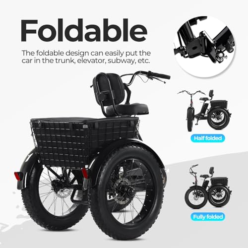 Geemax Electric Tricycle for Adults, 20" x 4.0 Fat Tire, 750W, Foldable 3-Wheel, Black V334