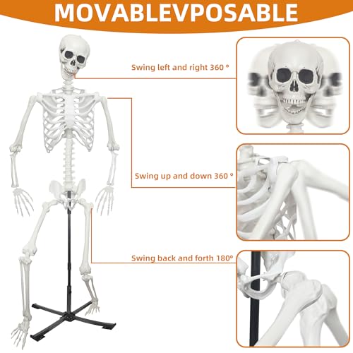 Halloween Skeleton Decoration 5.4ft Realistic Plastic with Movable Joints Gray U13918