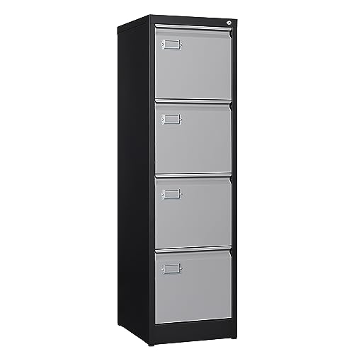 2 Drawer Vertical File Cabinet with Lock for Letter Size, Steel Office Storage Y50014