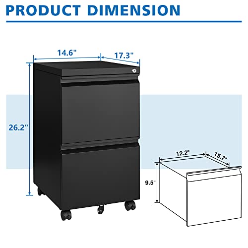 2 Drawer Vertical File Cabinet with Lock for Letter Size, Steel Office Storage Y50014