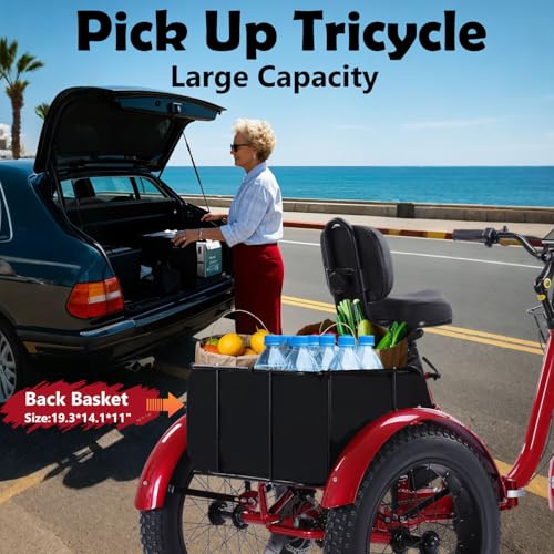 Electric Tricycle for Adults, 750W, Folding Fat Tire, 48V Removable Battery O76597