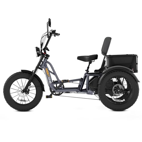 Folding Electric Tricycle for Adults, 1200W, 450lbs Load, UL Certified N810
