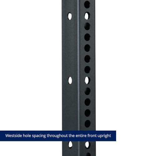 Titan Fitness T-3 Series 82" Wall Mounted Folding Power Rack Q348