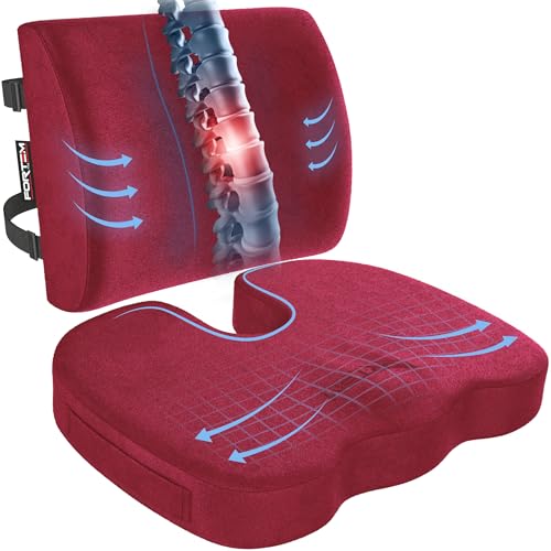FORTEM Office Chair Cushion and Back Support, Memory Foam Lumbar Pillow, Non Slip, XL V440
