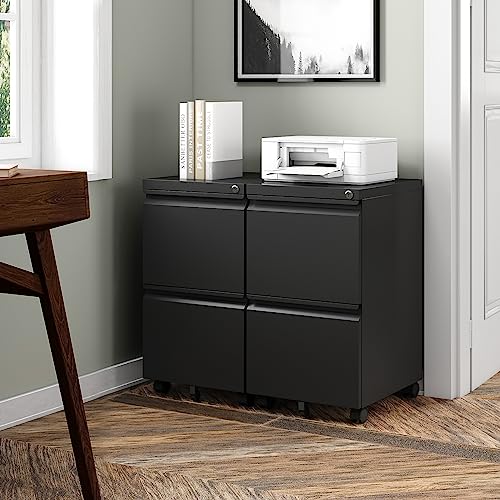2 Drawer Vertical File Cabinet with Lock for Letter Size, Steel Office Storage Y50014