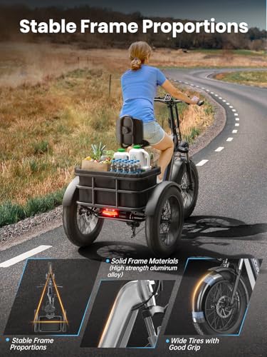 Electric Trike for Adult with 750W Motor, 48V Battery, 20" Fat Tire Y5910