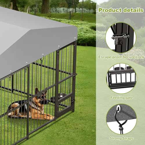 10x10x6 FT Outdoor Dog Kennel with UV-Resistant Roof and Lock L249