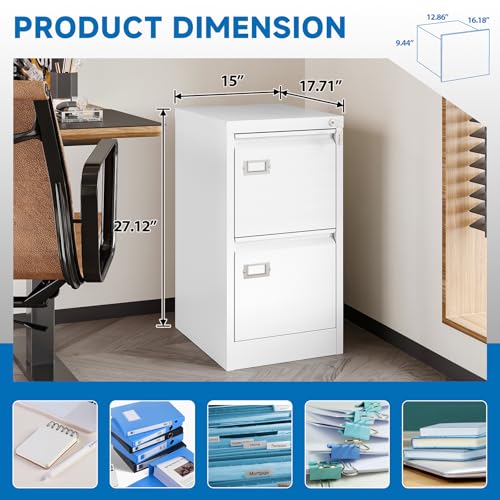 2 Drawer Vertical File Cabinet with Lock for Letter Size, Steel Office Storage Y50014