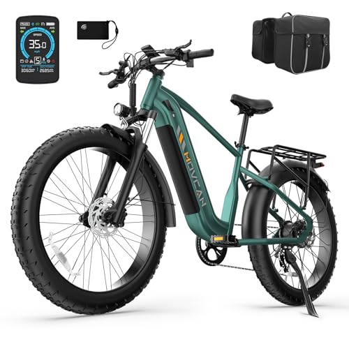 EB60 26" Fat Tire Electric Bike for Adults, 2000W Motor, 48V 20.8AH Battery R225
