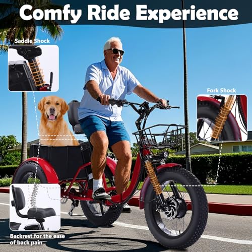 Adult Electric Tricycle 3 Wheel Bike for Adults A10327