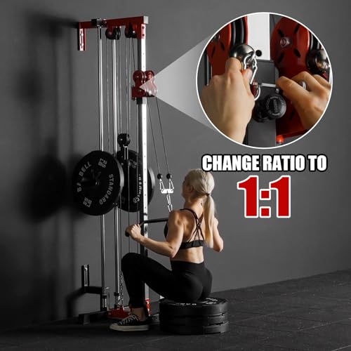 ER KANG Wall Mount Cable Station with Dual Pulley System for Home Gym Q918872