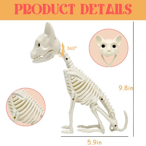 UMEELR 5.9FT Poseable Life Size Skeleton for Halloween Decoration B873000