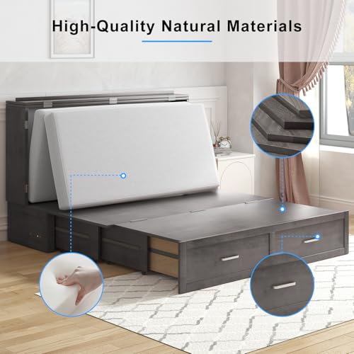 PUREMIND Queen Murphy Bed Cabinet with 2 Storage Drawers and USB Charging Station R5817