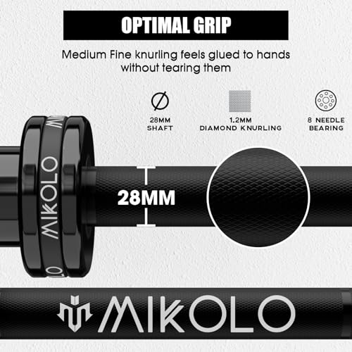 Mikolo 2" x 2" Folding Wall Mounted Squat Rack with Pull Up Bar, 1000 lbs Capacity W88407