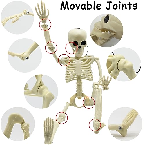Life Size Skeleton with Posable Joints for Halloween Decor R4204