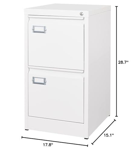 2 Drawer Vertical File Cabinet with Lock for Letter Size, Steel Office Storage Y50014
